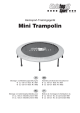 Mini Trampolin